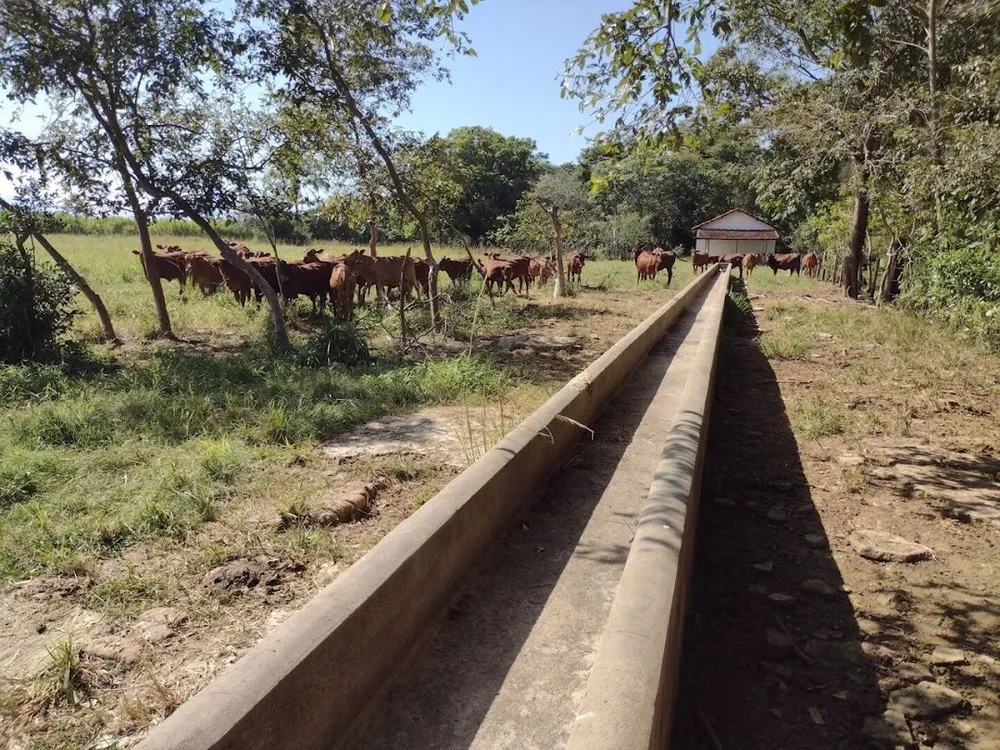 Fazenda, 120 m² - Foto 6