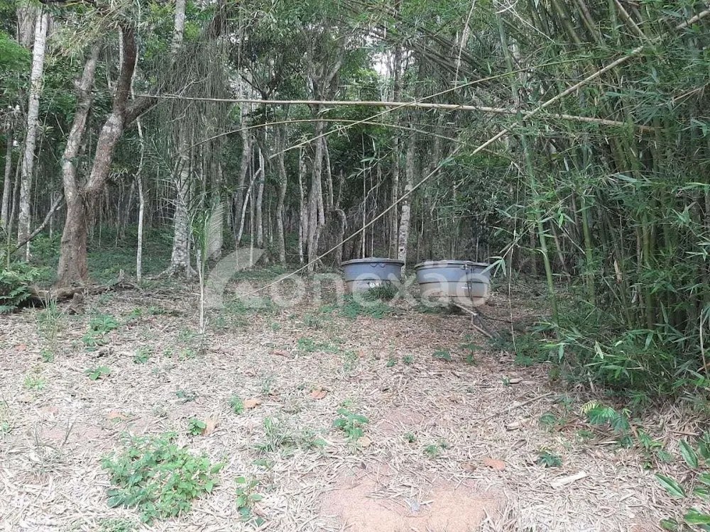 Chácara, 4 quartos, 250 m² - Foto 13