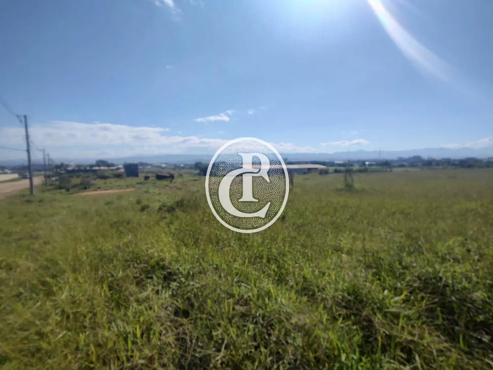 Terreno, 2 hectares - Foto 4