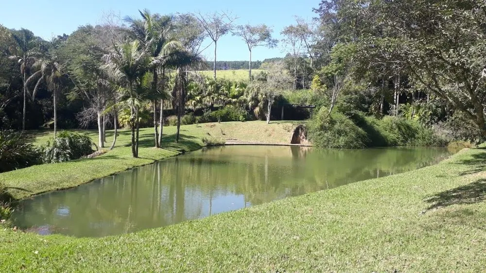 Fazenda, 21 hectares - Foto 10