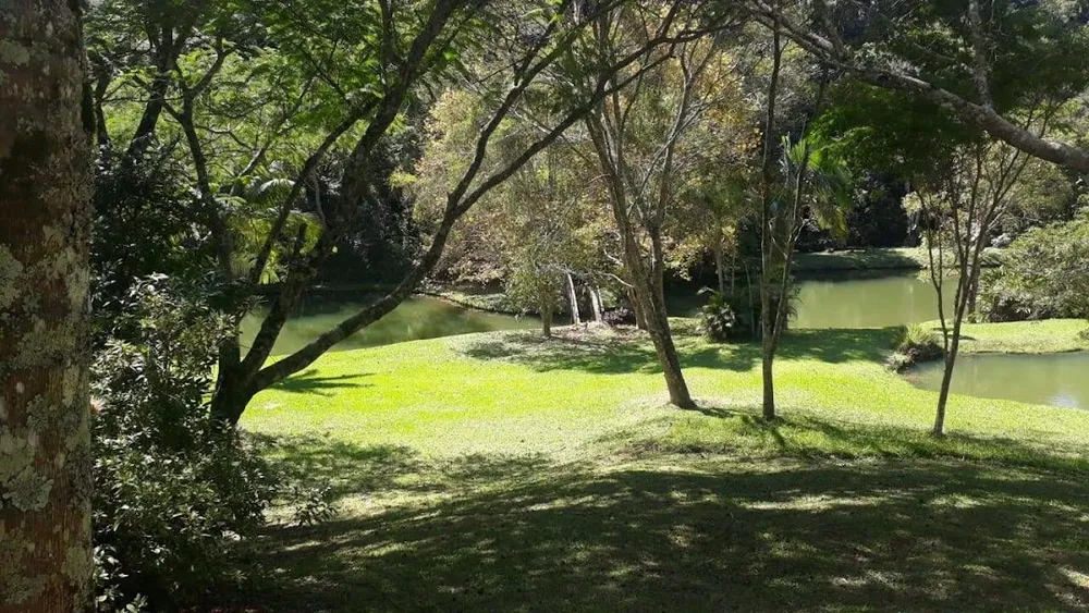 Fazenda, 21 hectares - Foto 11