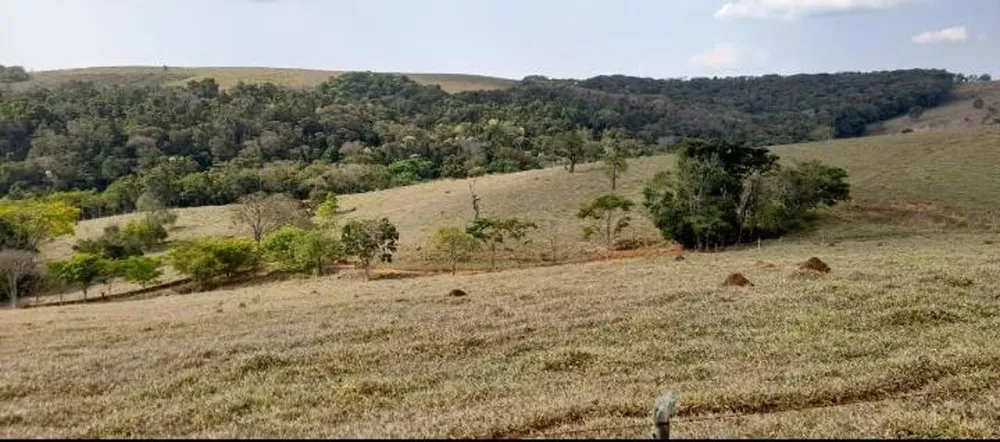 Fazenda, 21 hectares - Foto 4