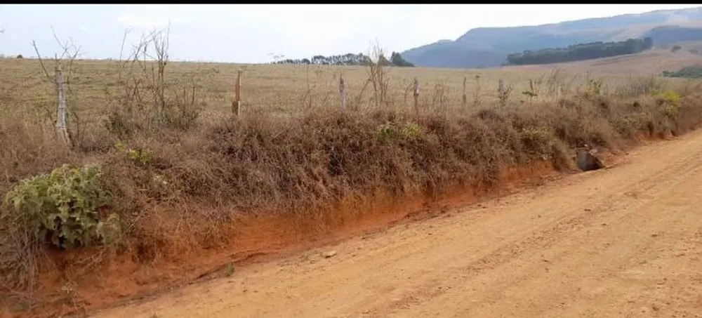Fazenda, 21 hectares - Foto 2