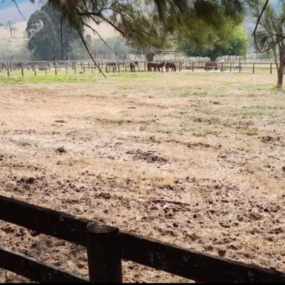 Fazenda, 21 hectares - Foto 7