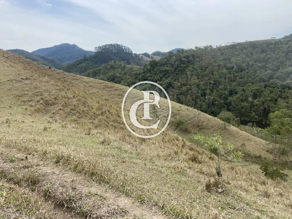 Sítio, 8 quartos, 46 hectares - Foto 2