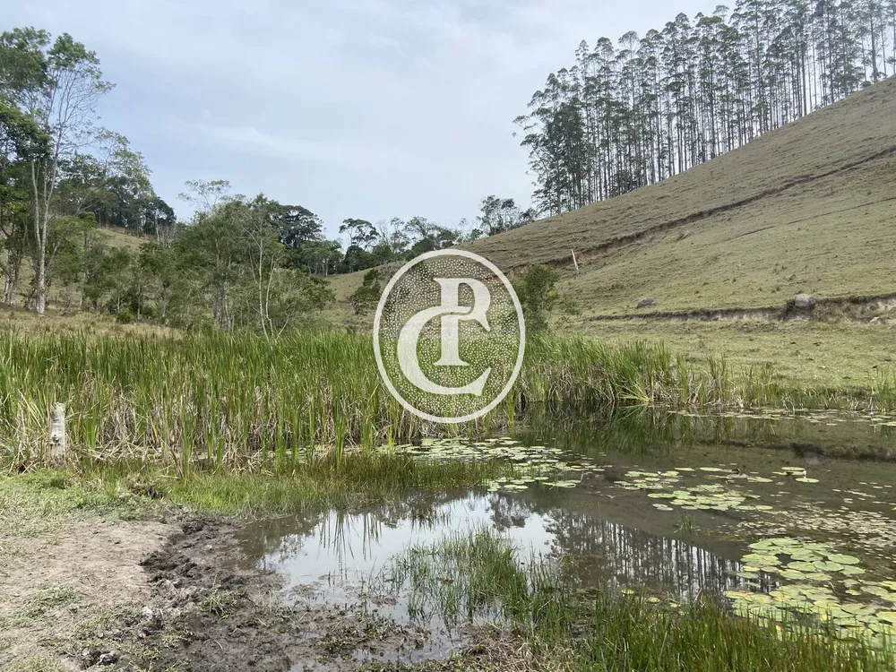 Sítio, 8 quartos, 46 hectares - Foto 4