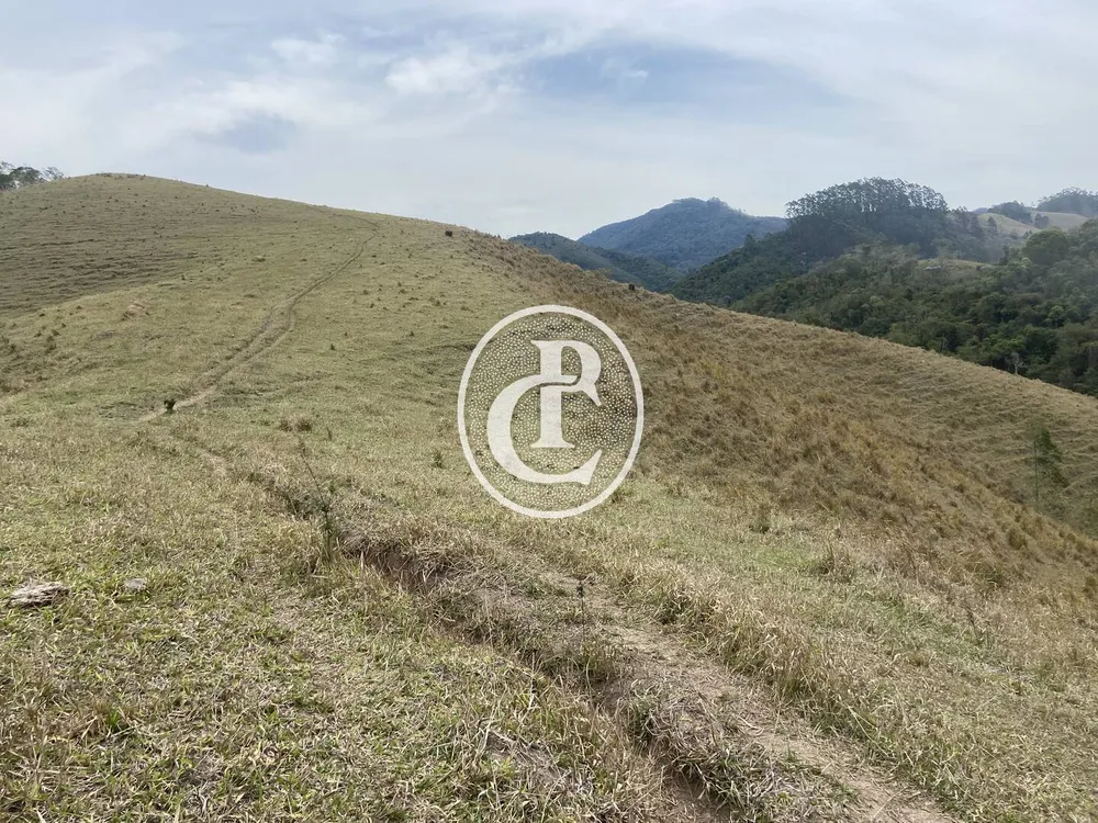 Sítio, 8 quartos, 46 hectares - Foto 6