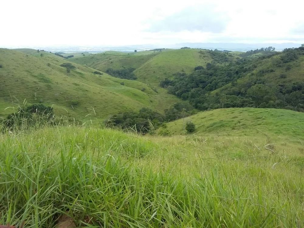 Fazenda, 100 m² - Foto 6