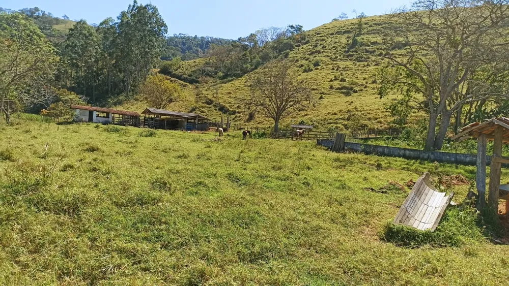Sítio, 2 quartos, 250 m² - Foto 2