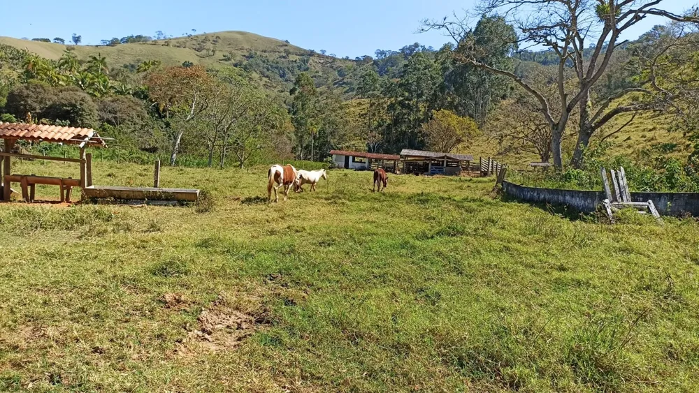 Sítio, 2 quartos, 250 m² - Foto 4