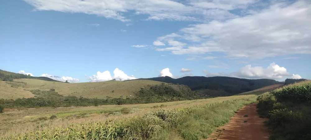 Fazenda, 133 m² - Foto 4