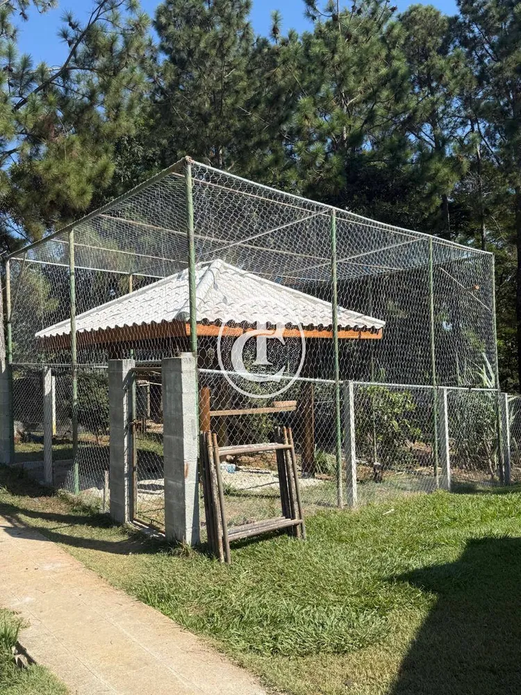 Chácara, 3 quartos, 5025 m² - Foto 8