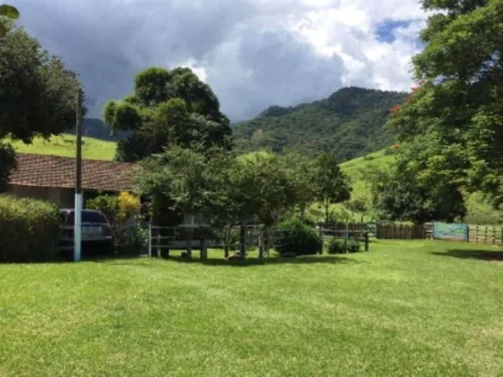Fazenda, 387 hectares - Foto 9
