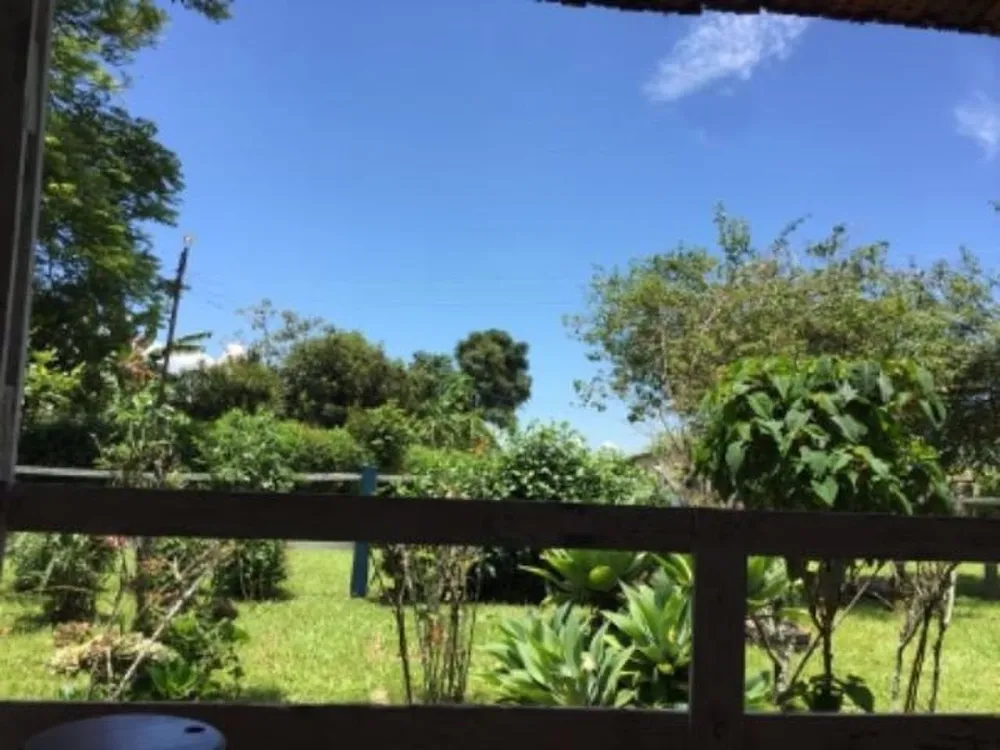 Fazenda, 387 hectares - Foto 12