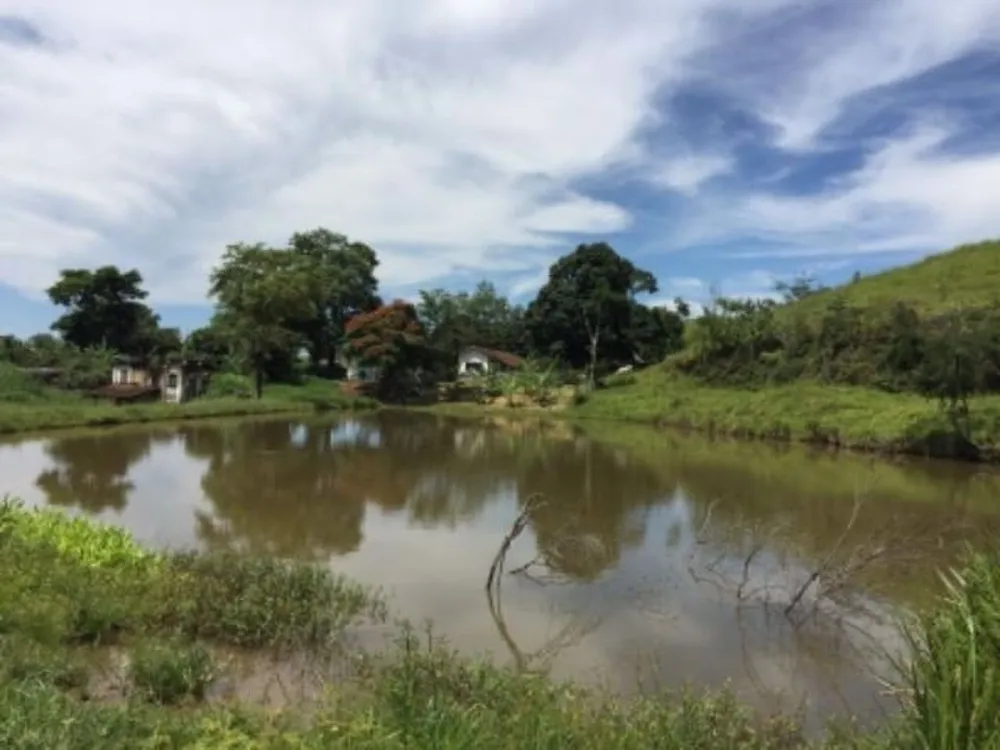 Fazenda, 387 hectares - Foto 4