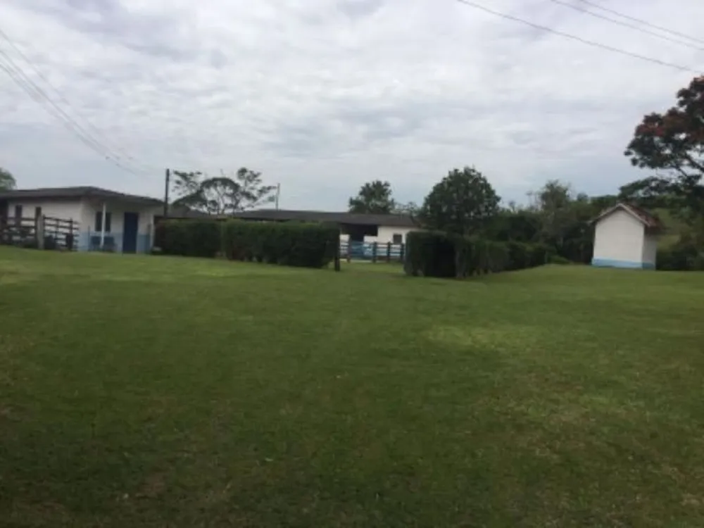 Fazenda, 387 hectares - Foto 11
