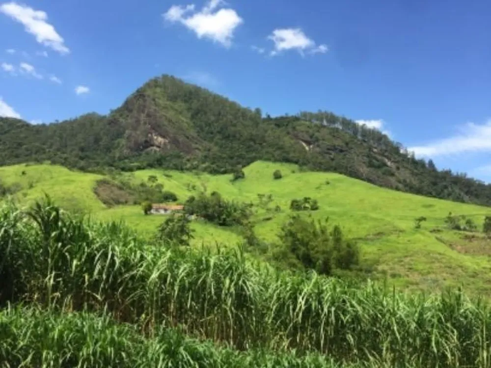 Fazenda, 387 hectares - Foto 8