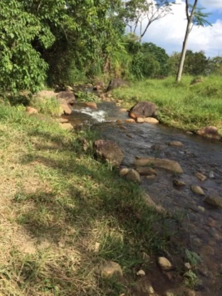 Fazenda, 387 hectares - Foto 6