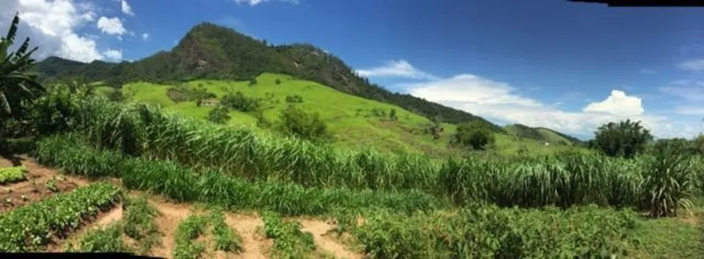 Fazenda, 387 hectares - Foto 13