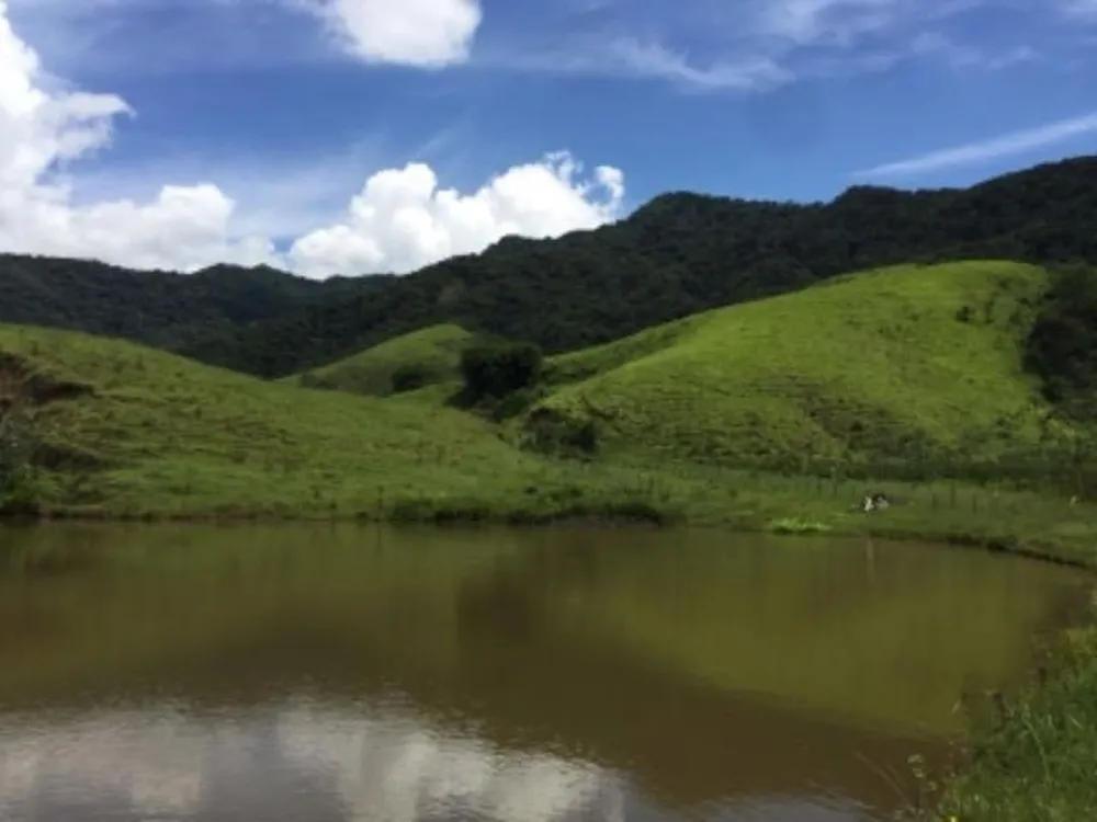 Fazenda, 387 hectares - Foto 15