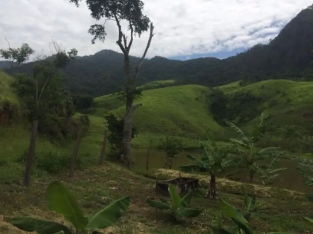 Fazenda, 387 hectares - Foto 7