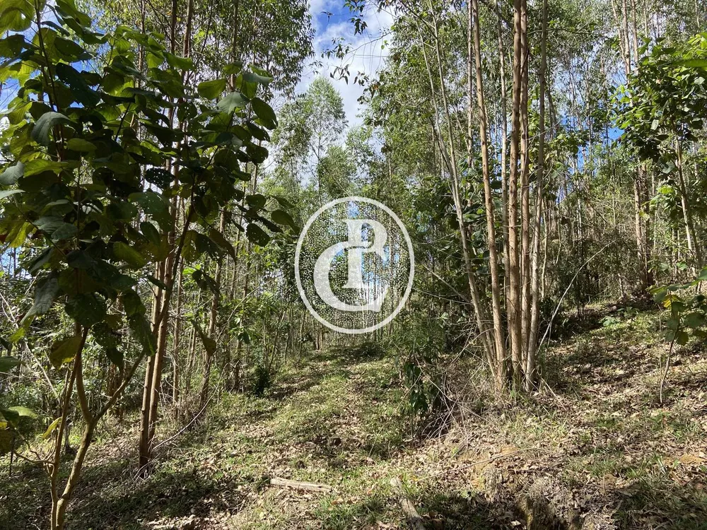 Terreno, 10 hectares - Foto 3