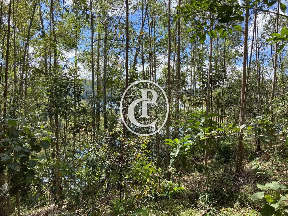 Terreno, 10 hectares - Foto 4