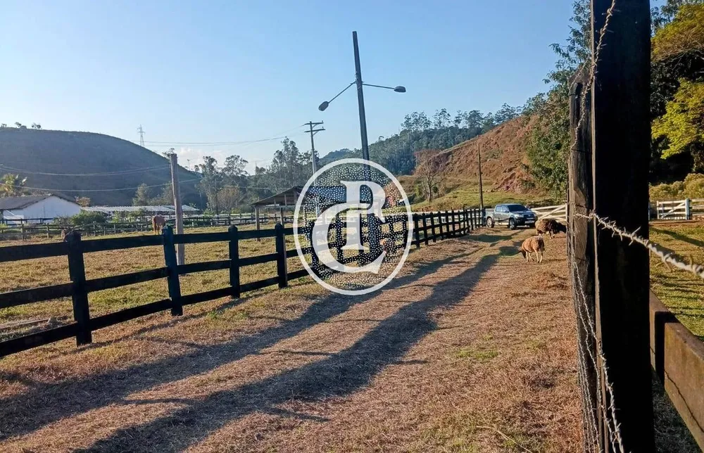 Fazenda, 18 hectares - Foto 8