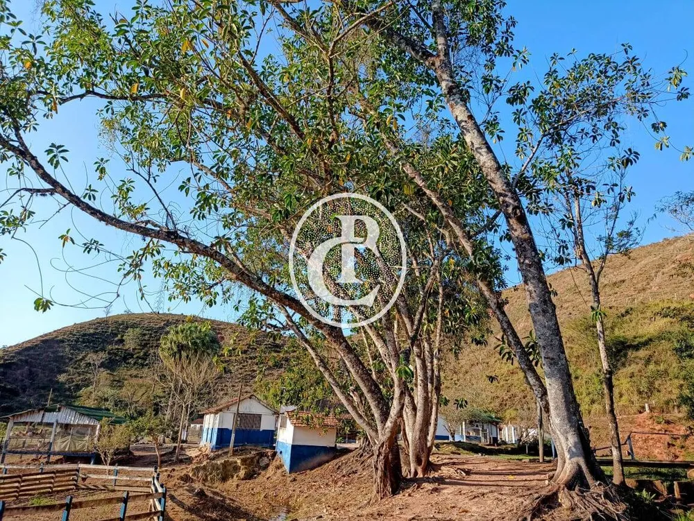 Fazenda, 18 hectares - Foto 4