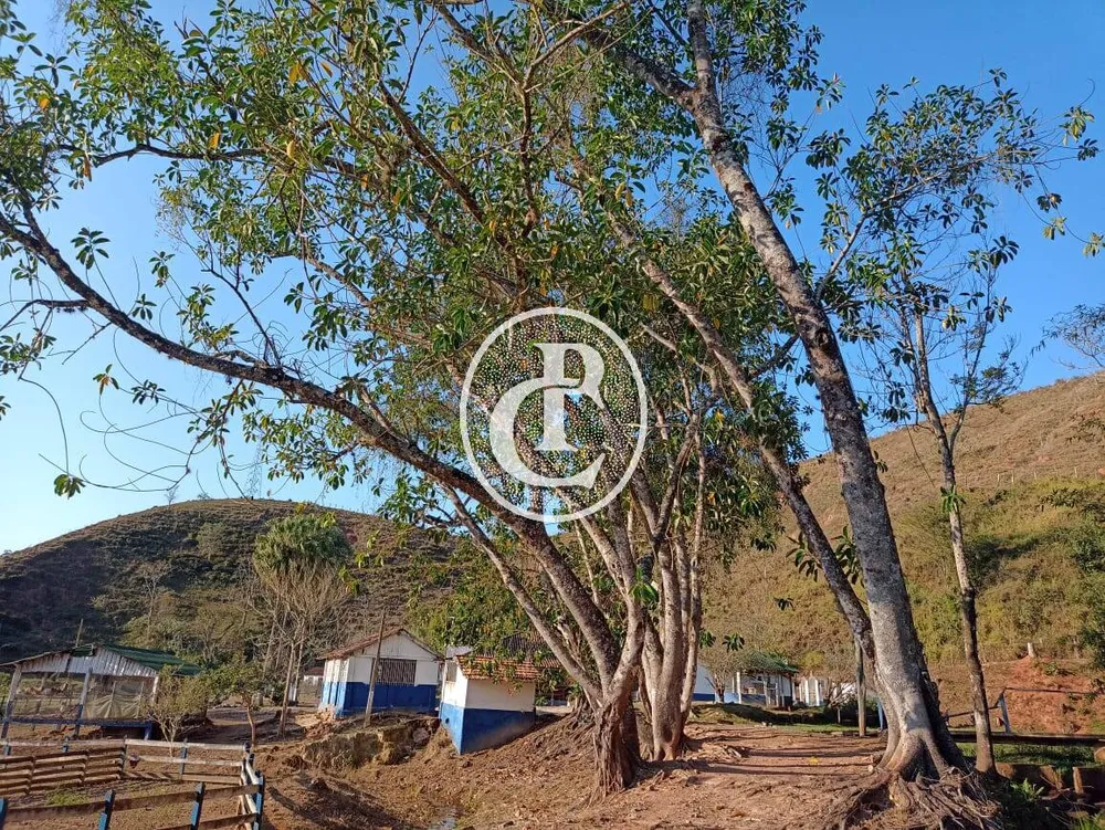 Fazenda, 18 hectares - Foto 7