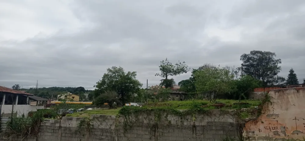 Terreno, 6000 m² - Foto 2
