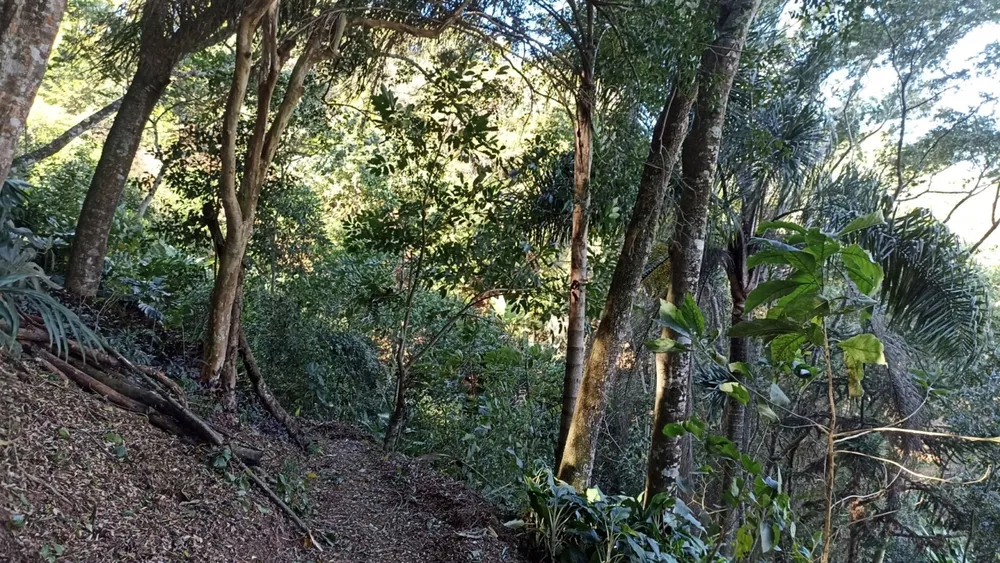 Chácara, 3 quartos, 200 m² - Foto 3