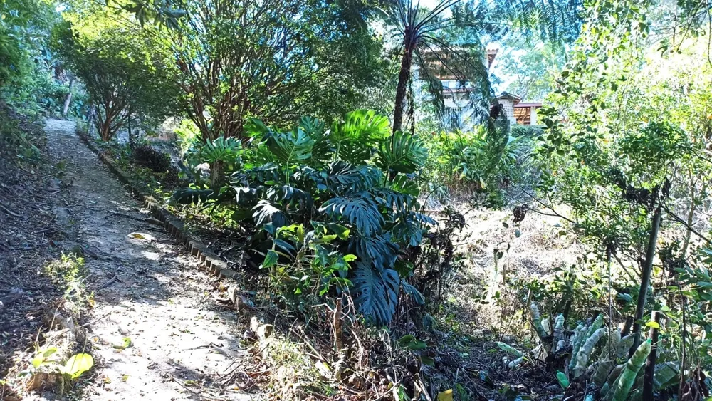 Chácara, 3 quartos, 200 m² - Foto 4