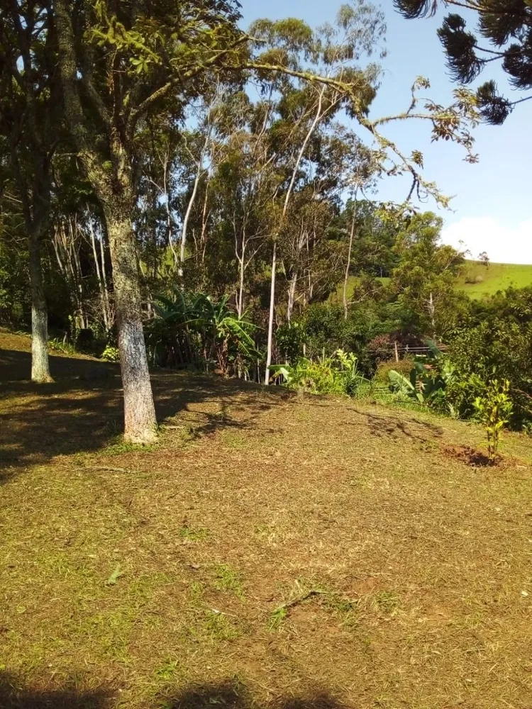 Chácara, 4 quartos, 100 m² - Foto 4