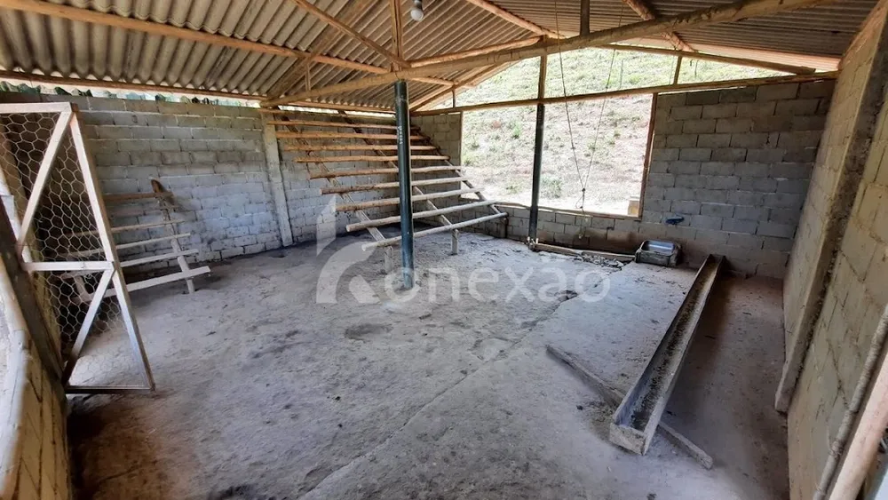 Sítio, 1 quarto, 10 hectares - Foto 4