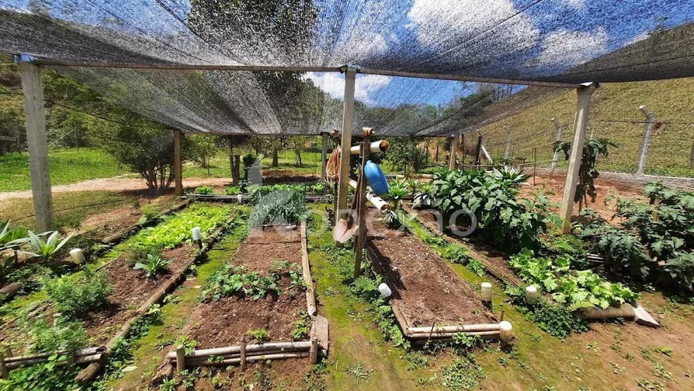 Sítio, 1 quarto, 10 hectares - Foto 6