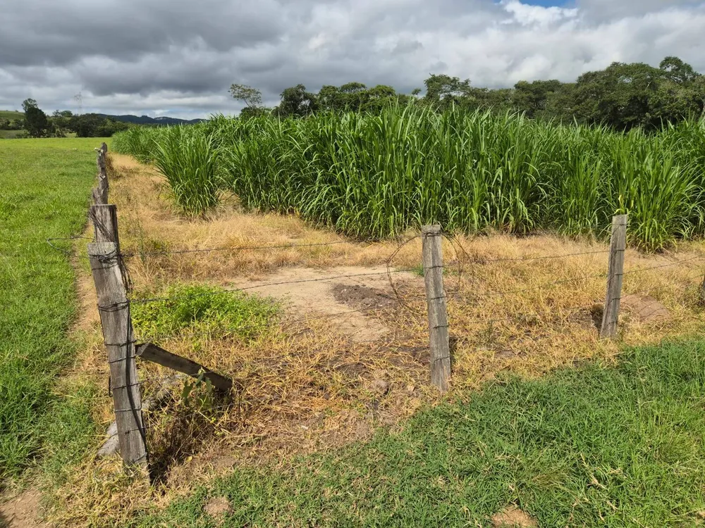 Sítio, 3 quartos, 8 hectares - Foto 3
