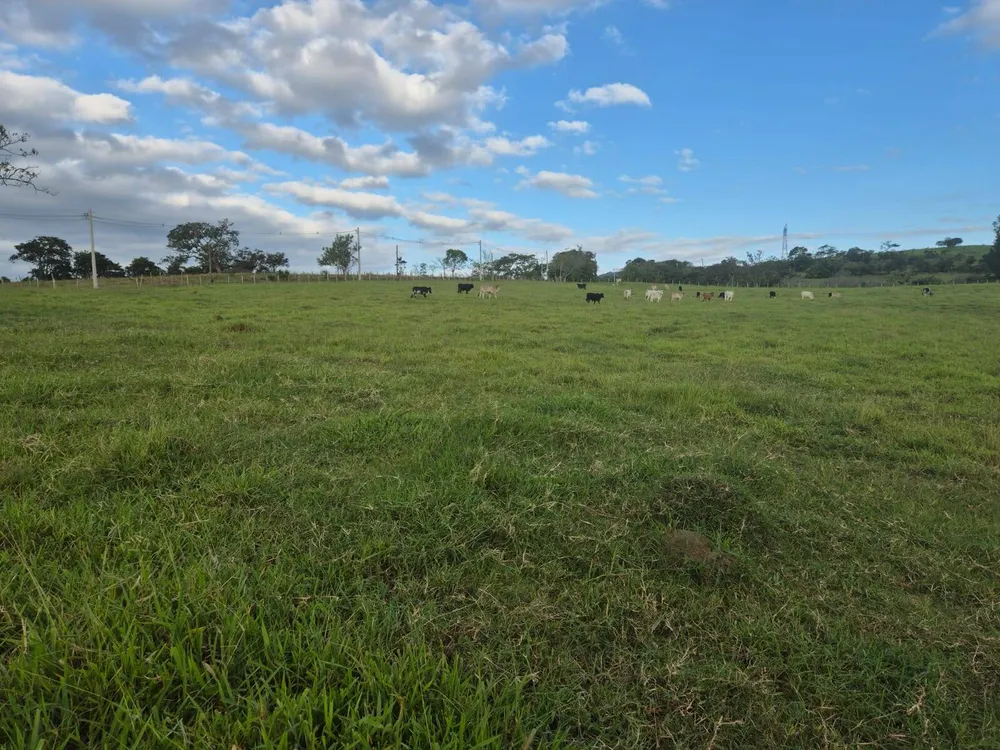 Sítio, 3 quartos, 8 hectares - Foto 7