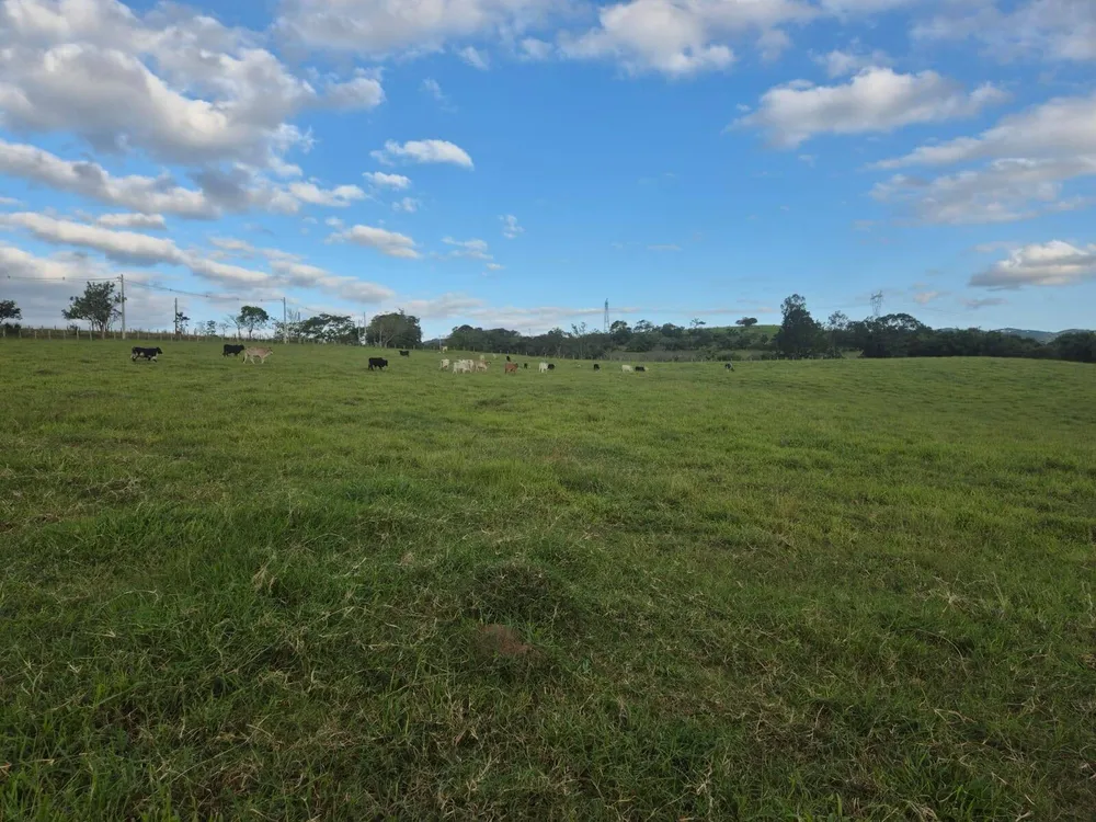 Sítio, 3 quartos, 8 hectares - Foto 6