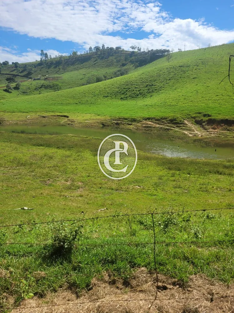 Sítio, 3 quartos, 32 hectares - Foto 6