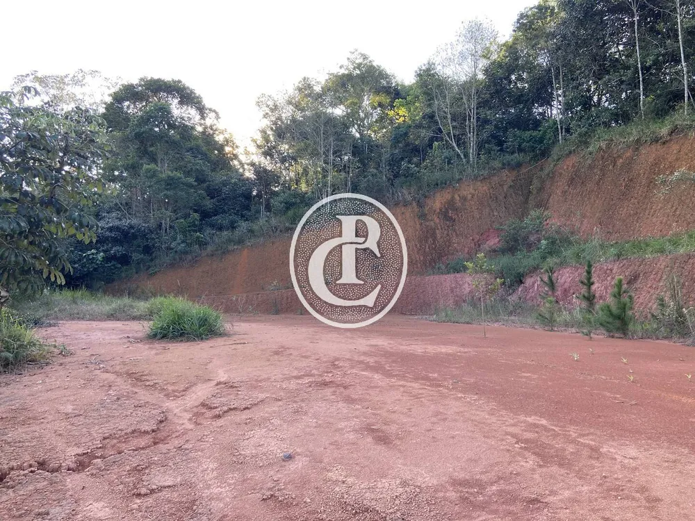Chácara, 4 quartos, 3 hectares - Foto 6