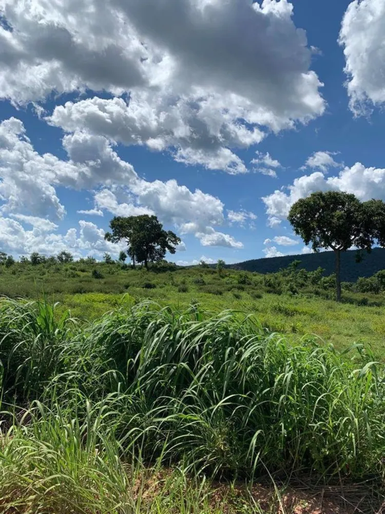 Fazenda, 1541 m² - Foto 13