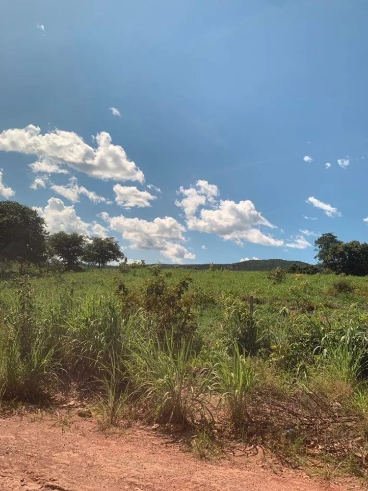 Fazenda, 1541 m² - Foto 16
