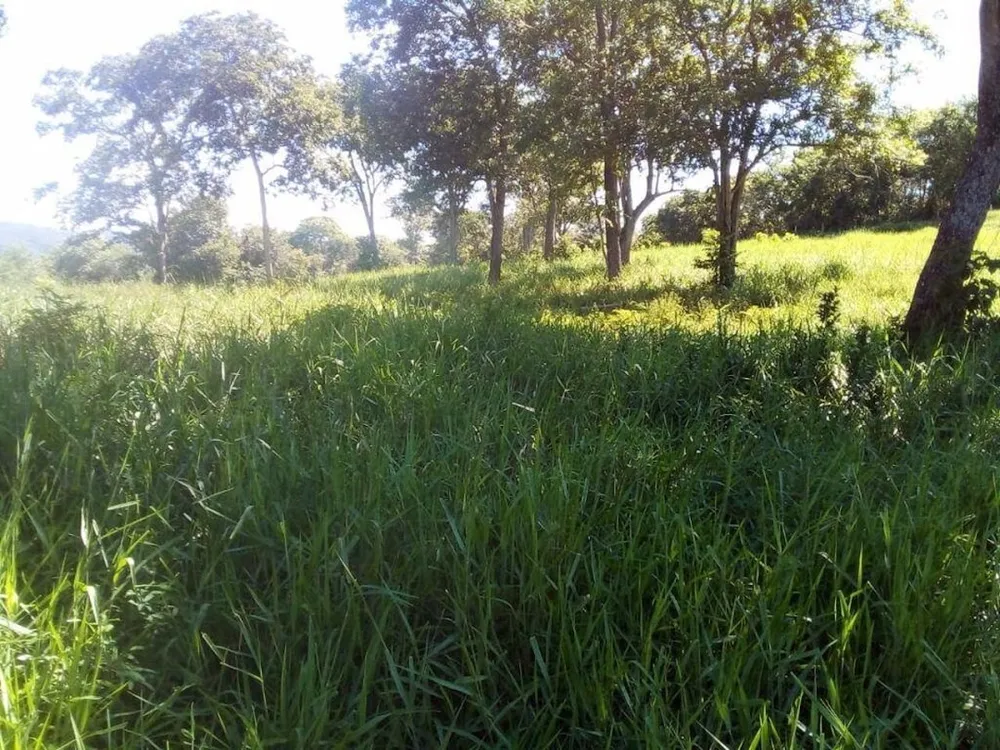 Fazenda, 1541 m² - Foto 1