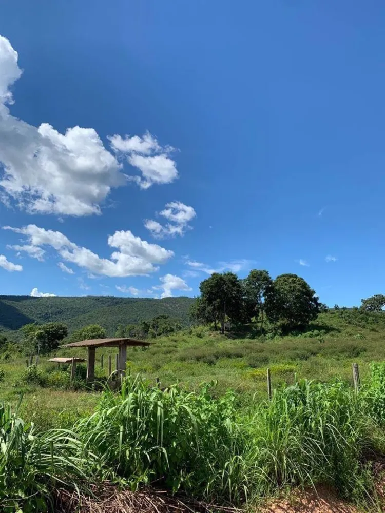 Fazenda, 1541 m² - Foto 12