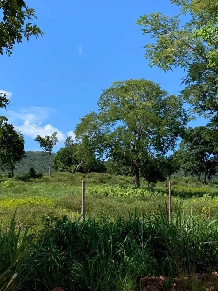 Fazenda, 1541 m² - Foto 15