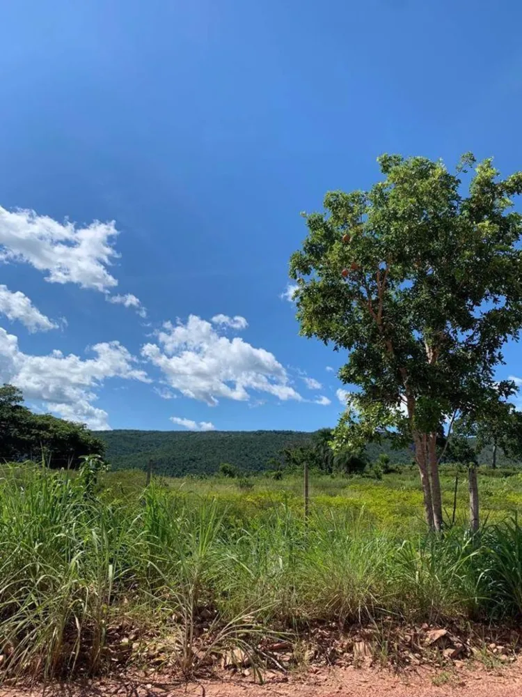 Fazenda, 1541 m² - Foto 14