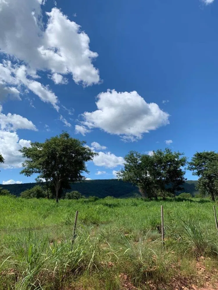 Fazenda, 1541 m² - Foto 10