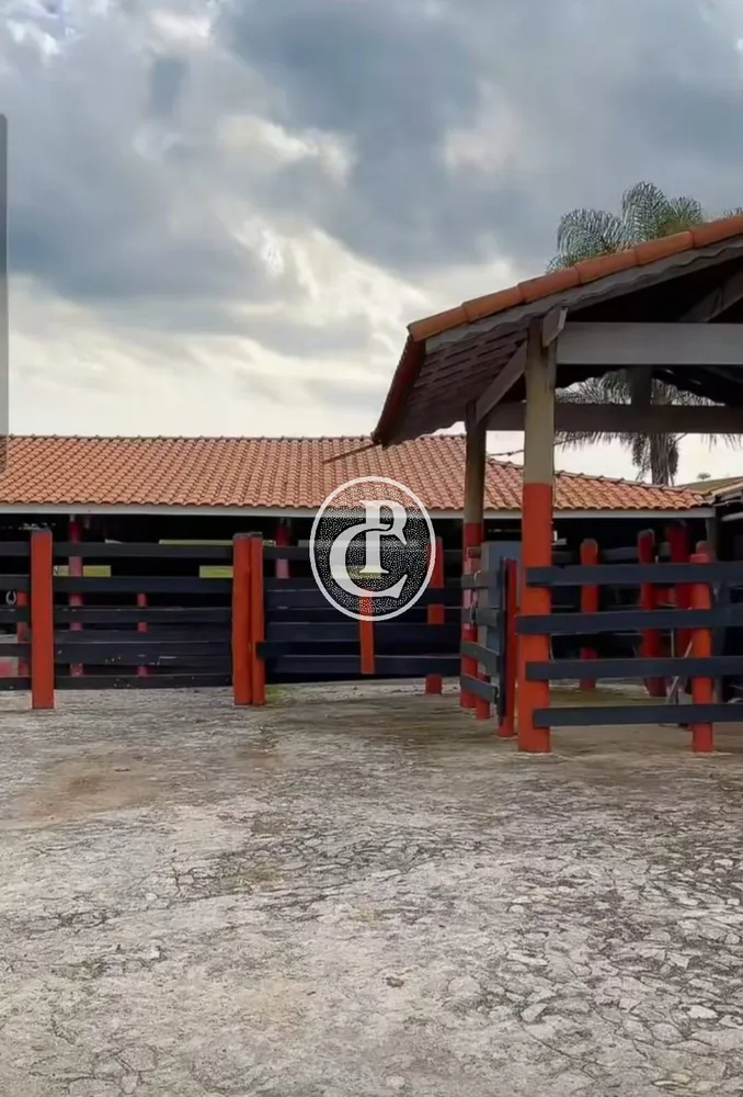 Sítio, 4 quartos, 150 m² - Foto 11