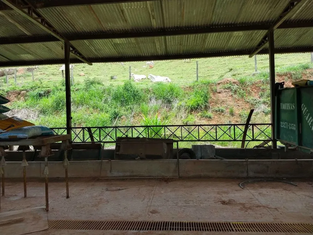 Sítio, 3 quartos, 300 m² - Foto 12